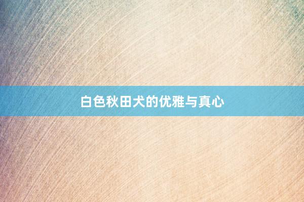 白色秋田犬的优雅与真心